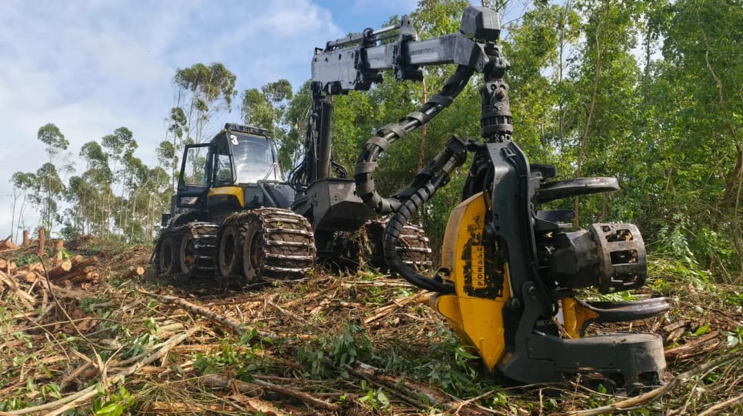 Operación forestal con maquinaria especializada
